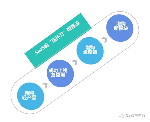 saas创业路线图 120 中国saas公司的互联网特性