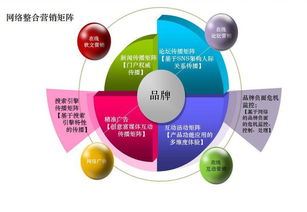 网络营销方案的内容